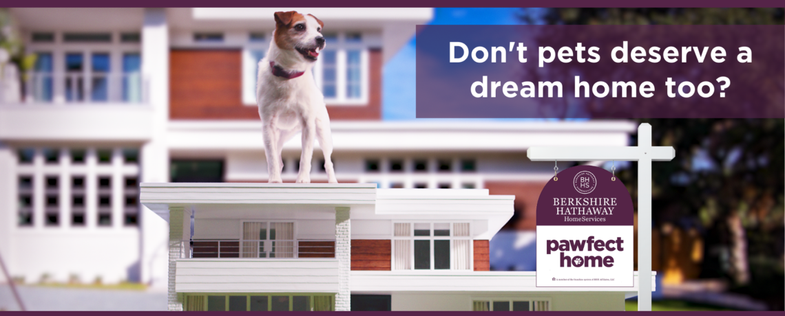 Don’t pets deserve a dream home too