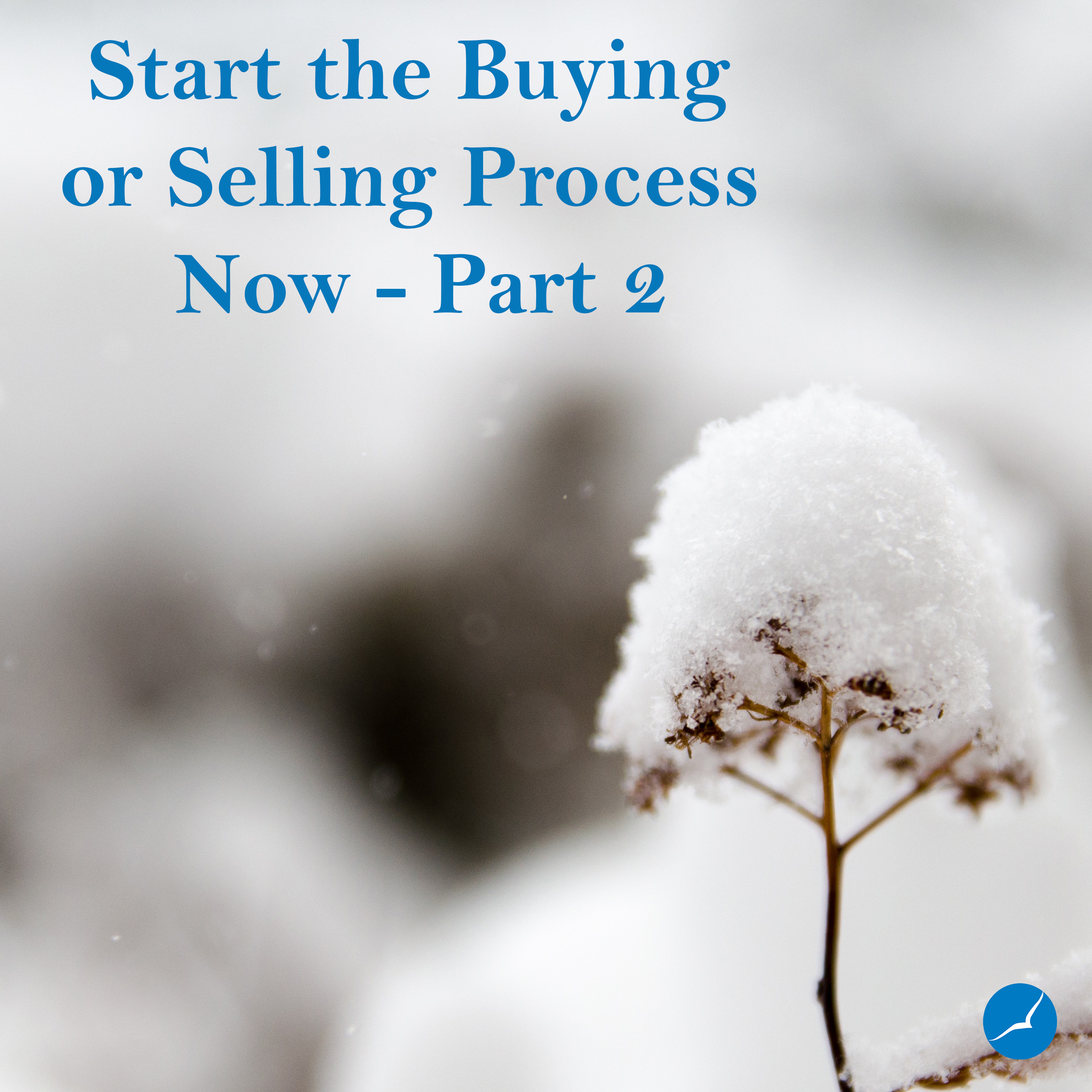 Start the Buying or Selling Process Now